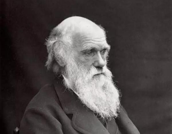 各人種之間為何不存在生殖隔離?黑種人、白種人、黃種人發展史 各人種之間為何不存在生殖隔離?黑種人、白種人、黃種人發展史