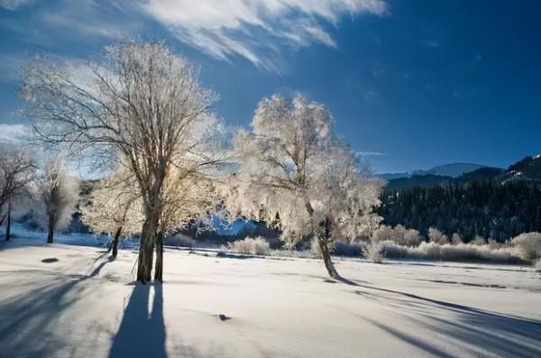 未來2個月,這些地方將美成天堂!再一場旅行,2021才完美 未來2個月,這些地方將美成天堂!再一場旅行,2021才完美