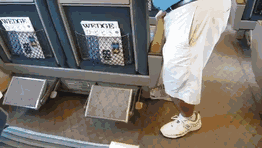 用照片告訴你，“日本”有多麼與眾不同