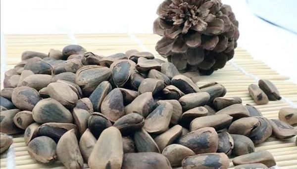 來自東北大山裡的奇珍異寶，你見過吃過幾種，都吃過的是純東北人