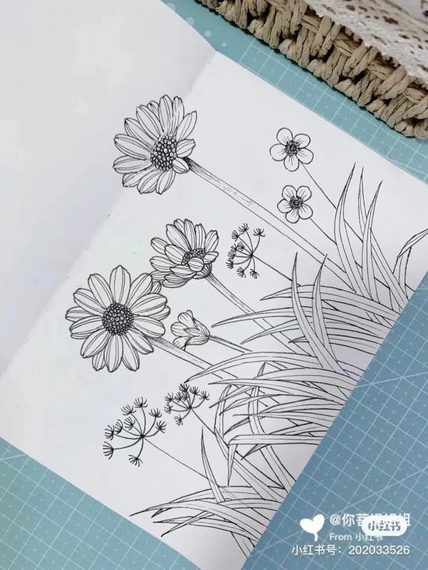 頂級創意線描,張張精緻走心,不收藏太可惜了 頂級創意線描,張張精緻走心,不收藏太可惜了