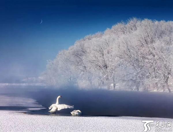 跟著節氣遊新疆 | 冬，最美的冰雪最美的冬天