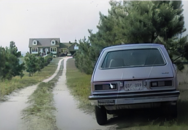 1985年，美國18歲女孩在家門口失蹤，兇手竟屢次打電話戲耍其家人