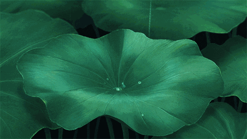 你曾經被哪個句子瞬間戳心？