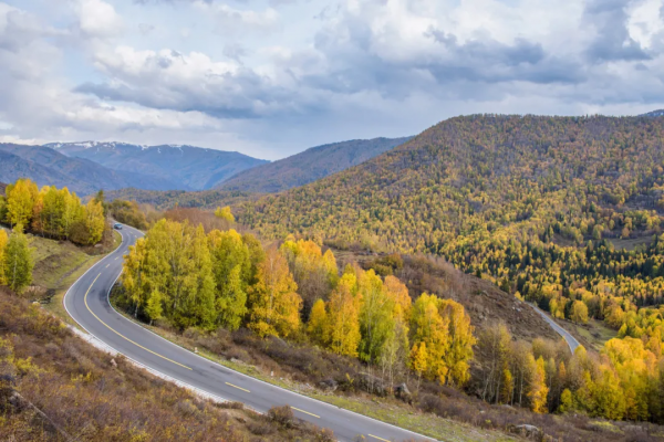 1028名日本人報名遊新疆？新疆顏值實錘了，一年四季，美麗不停歇