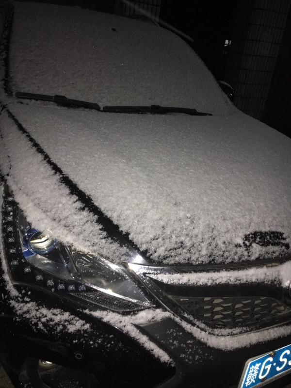 在寒風中作釣的真勇士，調低釣高收大板鯽