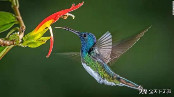 《中國無神論史》連載29——人是否可以輪迴為蟲