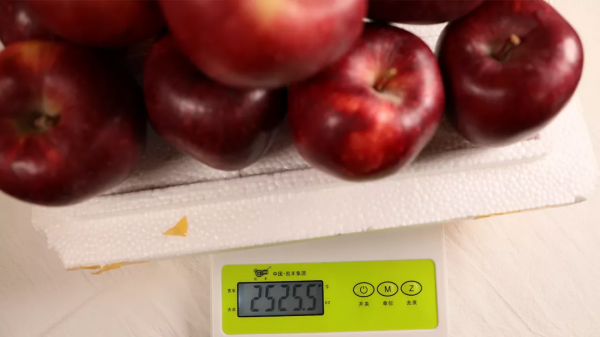 28斤！我們在拼多多上用100塊實現了水果自由