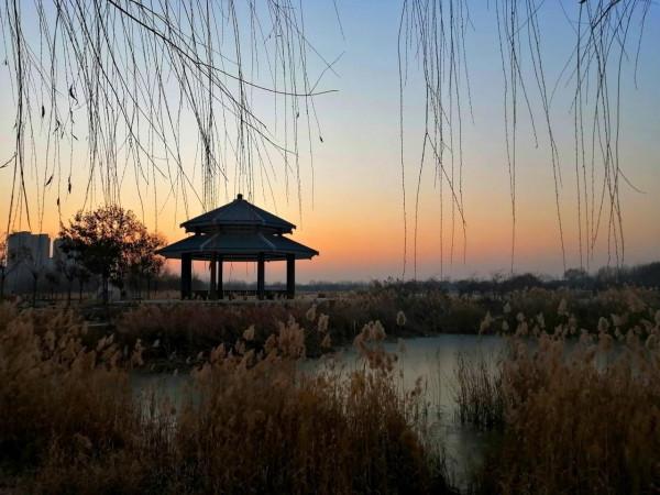 聆聽大自然的聲音