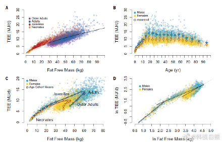 中年發福是代謝的“鍋”?研究表明人體代謝率60歲後開始下降 中年發福是代謝的“鍋”?研究表明人體代謝率60歲後開始下降