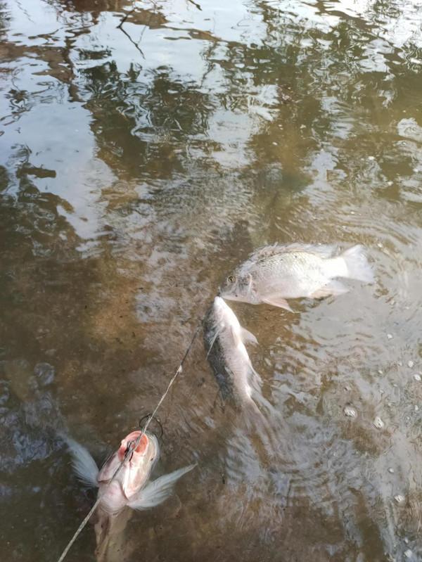 看國足比賽還不如來水庫釣魚