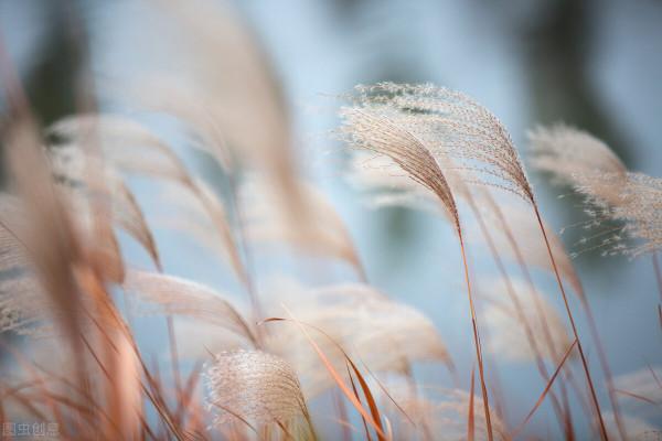 10句秋日詩詞，風景如畫，一一讀來秋意濃濃