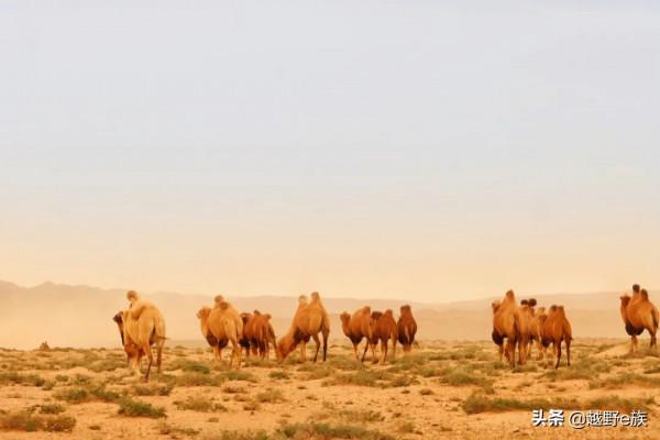一分鐘解讀“T3”,激情穿越點燃巴丹吉林 一分鐘解讀“T3”,激情穿越點燃巴丹吉林