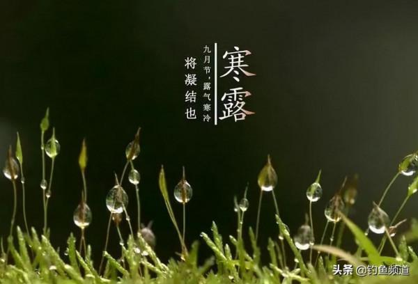 釣魚二十四節氣日曆，請收好，隨時用得著