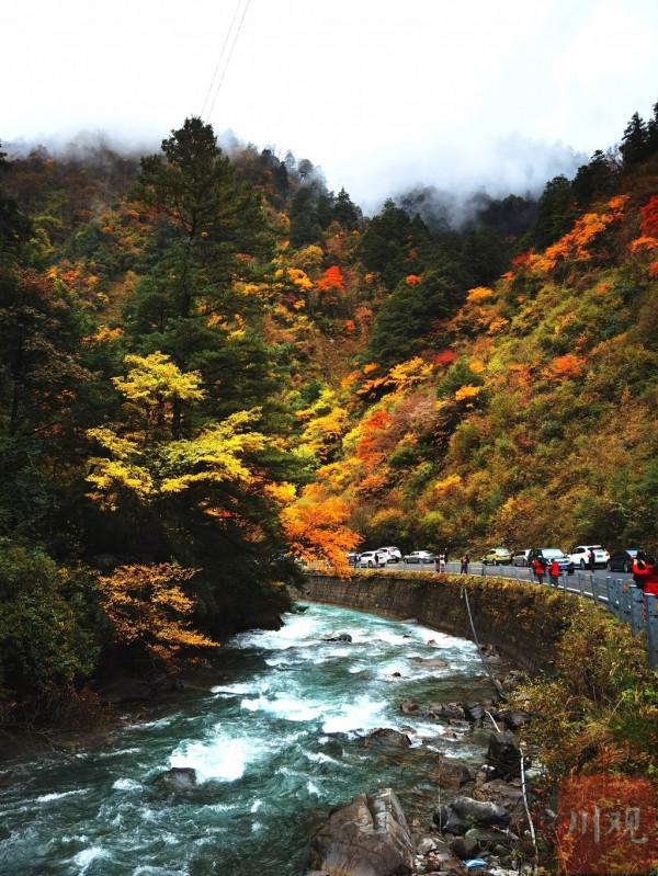 四姑娘山秋日 水墨丹青畫中游
