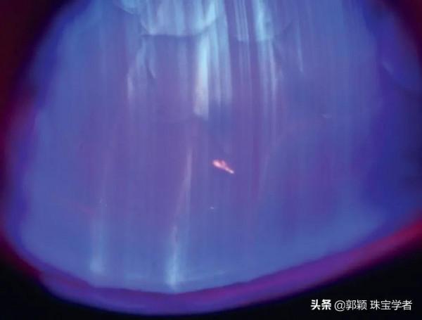 拼合紅藍寶都“內卷”成這樣了？