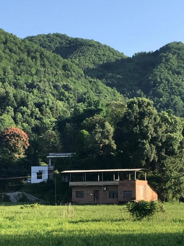 命中註定事情改不了