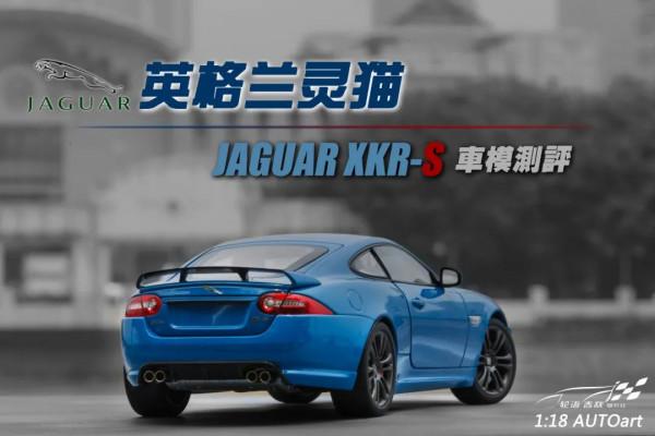 溫故知新,來自英倫島的大靈貓 溫故知新,來自英倫島的大靈貓