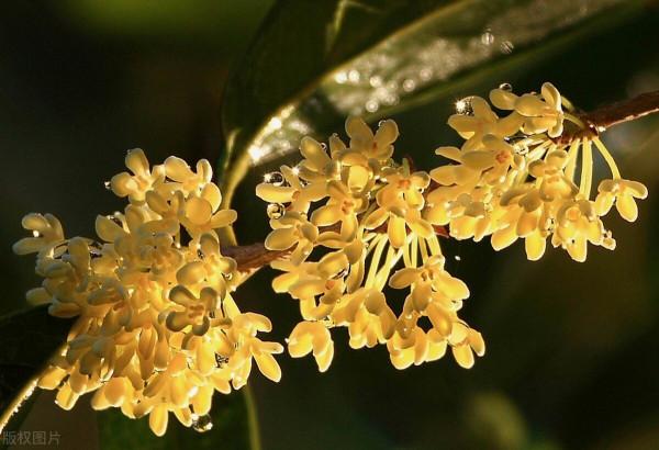 湖北冷知識：推薦湖北這23個世界之最和中國之最，你還知道哪些？