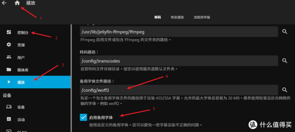jellyfin新選擇，Nyanmisaka出品，即裝即硬解