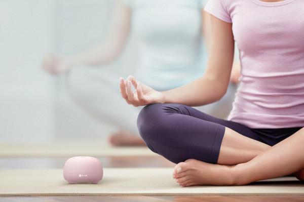 “喜瀛洲手指醫生”鍛鍊你的下半身塑造肌肉曲線