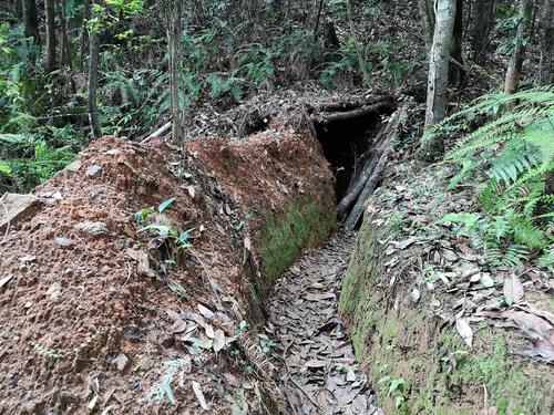 松毛嶺之戰後越軍俘虜承認：在交戰過的所有對手中解放軍最可怕