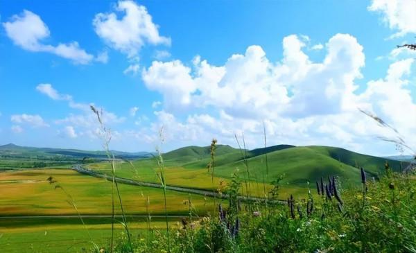 中國最美的9大草原，一輛車，三五好友，就可以馳騁在草原上