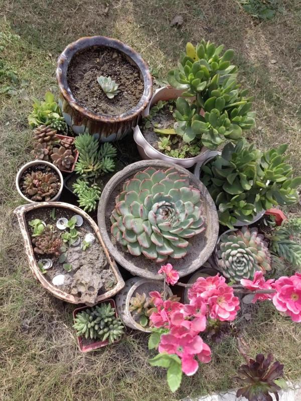 小煩惱小焦慮還有小悲傷 小煩惱小焦慮還有小悲傷