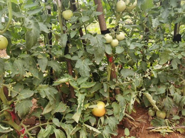 回家本身便是最重要的事 回家本身便是最重要的事