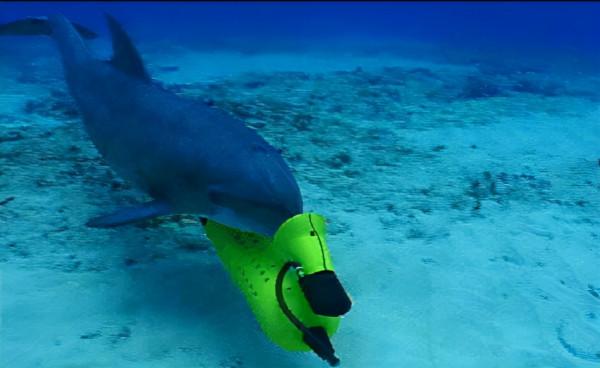 「遊戲內外」充滿安全感的大姐姐，紅警3單位原型（盟軍艦艇篇）