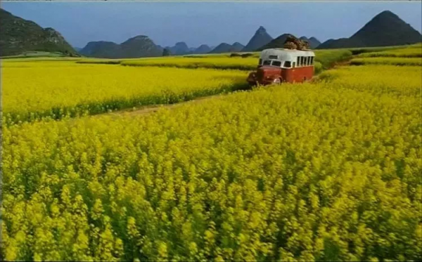 這些在雲南拍的經典電影,你看過幾部? 這些在雲南拍的經典電影,你看過幾部?