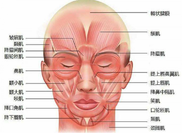 從呆板到靈動,跟喬欣學逆襲套路,不整容也能半年內提升顏值 從呆板到靈動,跟喬欣學逆襲套路,不整容也能半年內提升顏值
