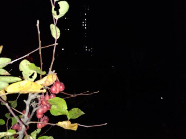 誰說近處無風景?大美清泉河給你一份不同的畫卷 誰說近處無風景?大美清泉河給你一份不同的畫卷