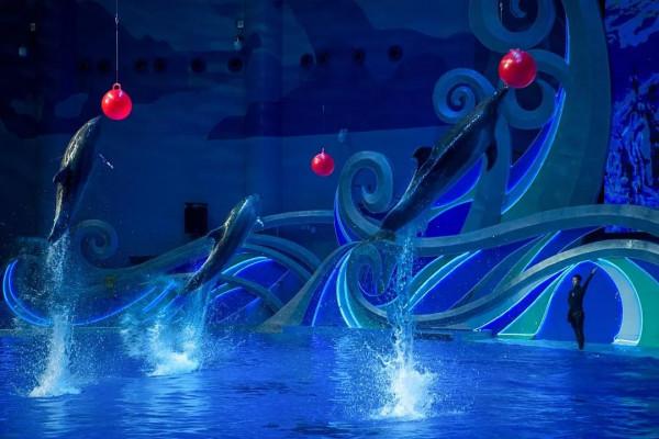 融創邀你回「家」過年，看煙火、賞雪景，盡享五湖四海中國年&period;&period;&period;&period;&period;&period;