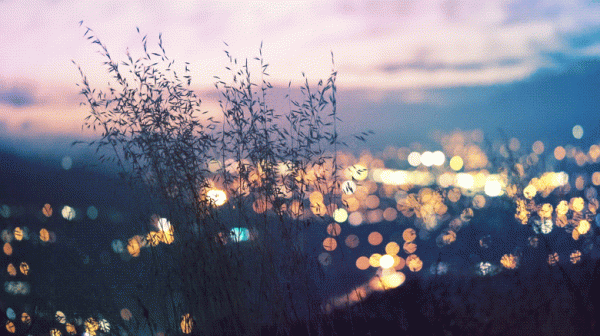 生活就是理解，生活就是面對現實微笑