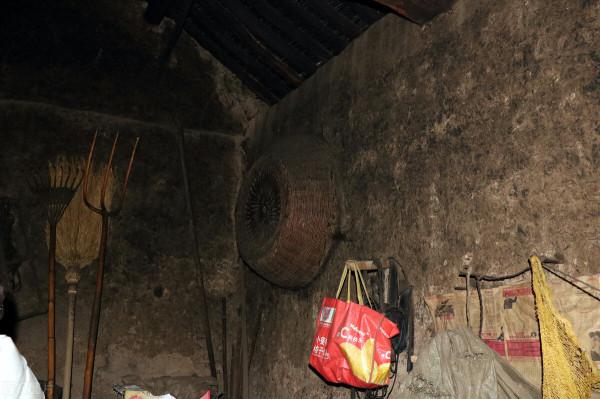 縱然養貓千百種，不養大橘空遺憾 2、和大橘的吻頸之交