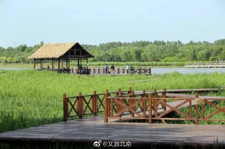 3條精品線路，飽覽大運河沿線的水岸風光