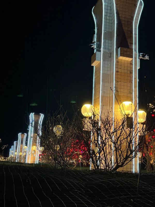 沒有煙花爆竹的大年有驚喜