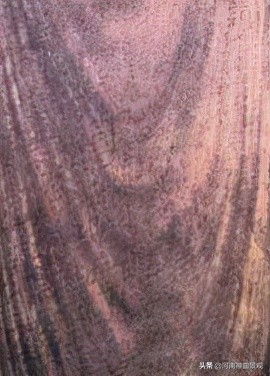 如何辨識明代傢俱木材新解全集(傢俱14) 如何辨識明代傢俱木材新解全集(傢俱14)