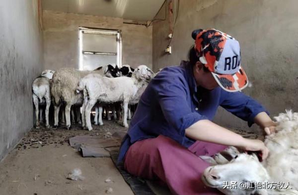 漢族男人娶個蒙古族媳婦為啥這麼難？聽江豔詳細道出其中的原因