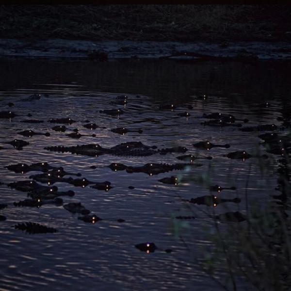 有些照片看似普通,卻讓人感到恐懼 有些照片看似普通,卻讓人感到恐懼