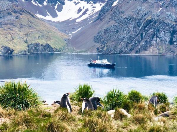 我們去南極結婚了 我們去南極結婚了