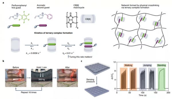 《自然·材料》News&amp;Views：像玻璃一樣堅韌的動態軟材料