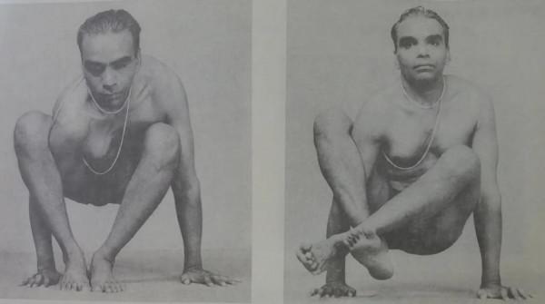 123.聖哲阿斯塔瓦卡茹支撐式(Astavakrasana) 123.聖哲阿斯塔瓦卡茹支撐式(Astavakrasana)
