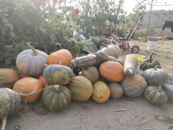 魯家峪的故事(2021－836)