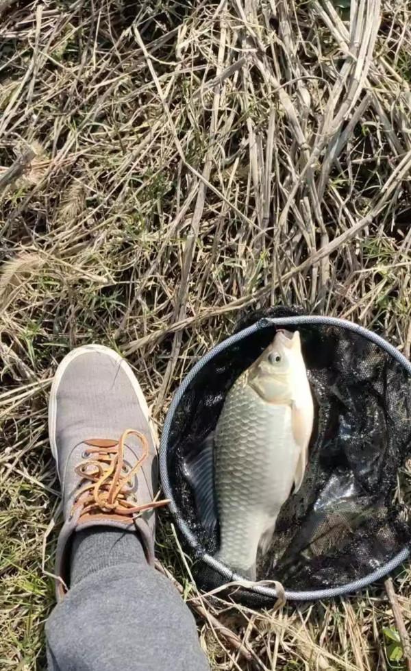 天冷了,老釣魚人用中草藥泡釣魚餌料,公佈配方指南 天冷了,老釣魚人用中草藥泡釣魚餌料,公佈配方指南