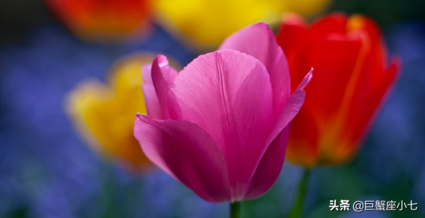 受委屈，被汙衊，不屑解釋的星座：清者自清，懂得人自然懂，夠拽