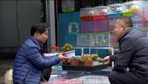 山東小夥辦寵物農場，賣萌寵年入1800萬，帶動村民走上致富路