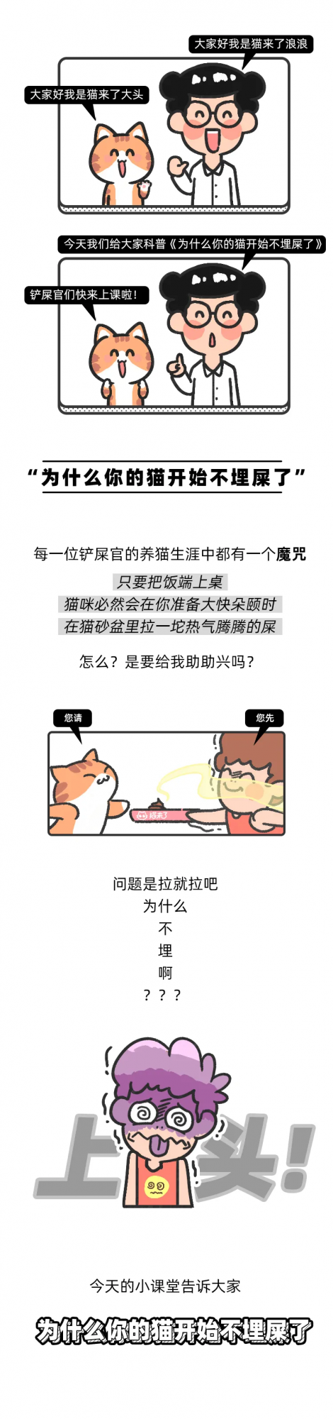 “我家貓學不會用貓砂盆，醫生說它是智障？”