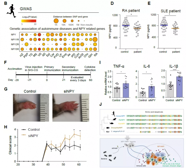 我國學者同一天發表6篇Nature，歐洲發現毒力更強的HIV變異株，馬斯克當選美國工程院院士丨一週科技導讀